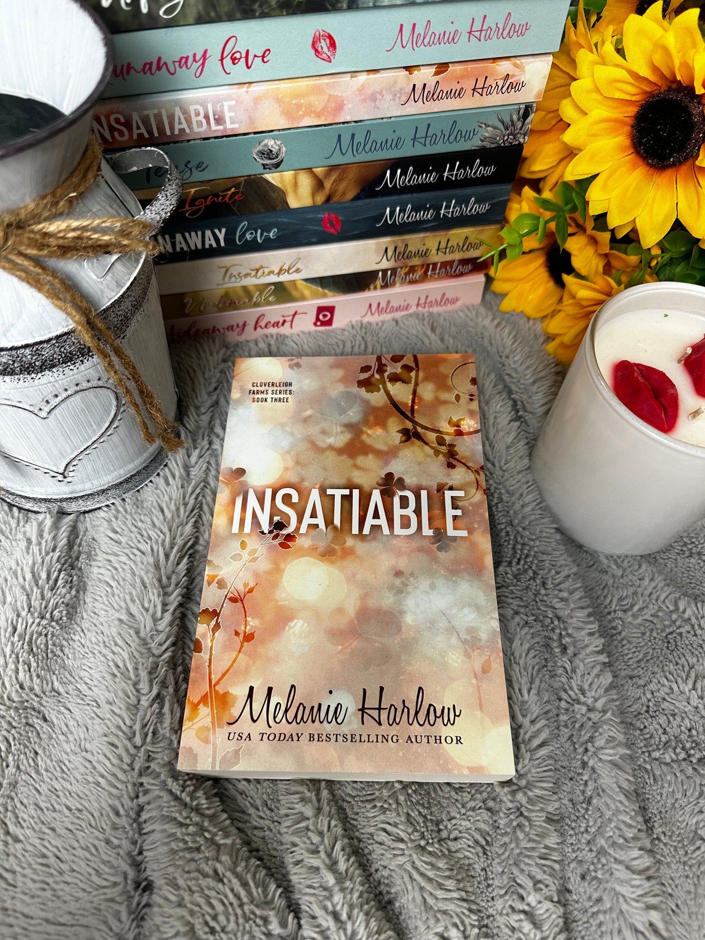 Insatiable - Discreet Cover